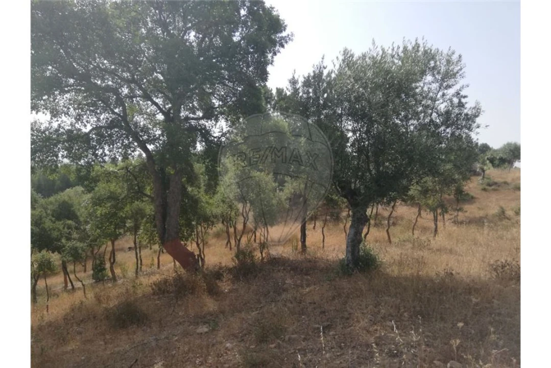 Terreno para Venda em Brogueira, Parceiros de Igreja e Alcorochel Foto 10