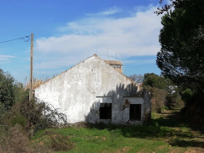 Moradia T3 para Venda em Santa Margarida da Coutada