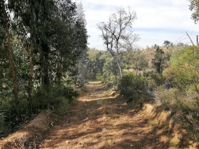 Moradia T3 para Venda em Santa Margarida da Coutada Foto 5