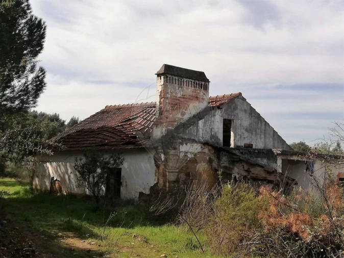 Moradia T3 para Venda em Santa Margarida da Coutada Foto 2