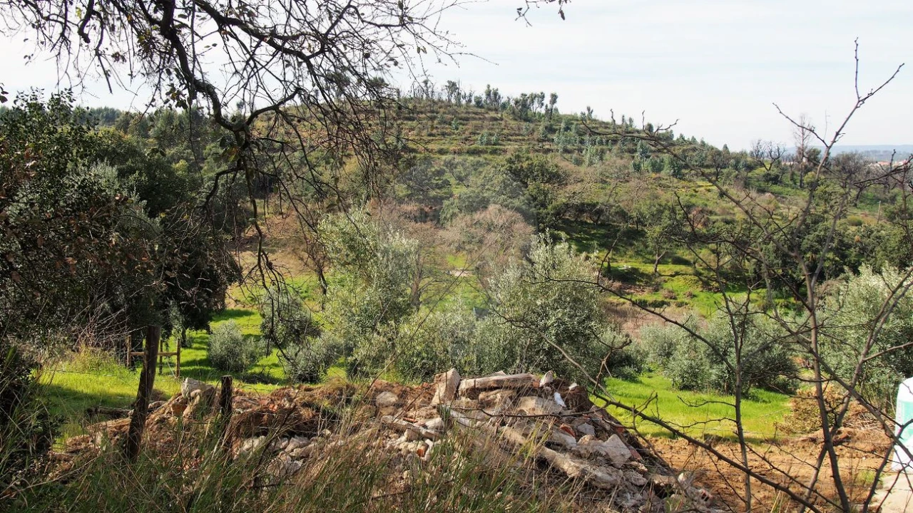 Moradia T3 para Venda em Santa Margarida da Coutada Foto 3