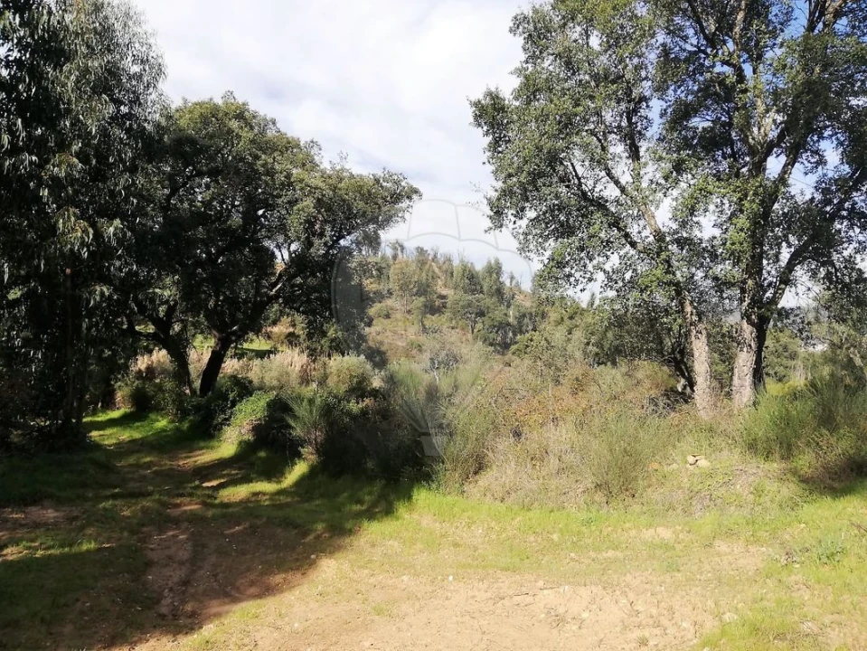 Moradia T3 para Venda em Santa Margarida da Coutada Foto 4