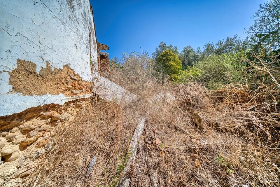 Moradia T3 para Venda em Chamusca e Pinheiro Grande Foto 12