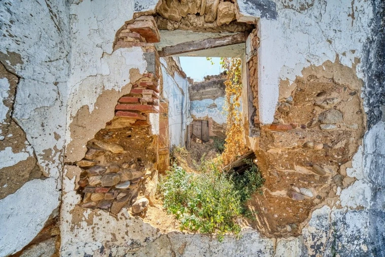 Moradia T3 para Venda em Chamusca e Pinheiro Grande Foto 8