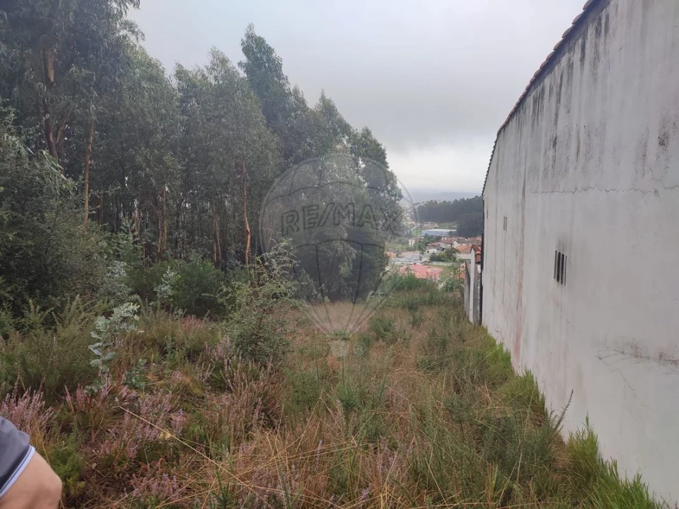 Terreno para Venda em Sandim, Olival, Lever e Crestuma Foto 5
