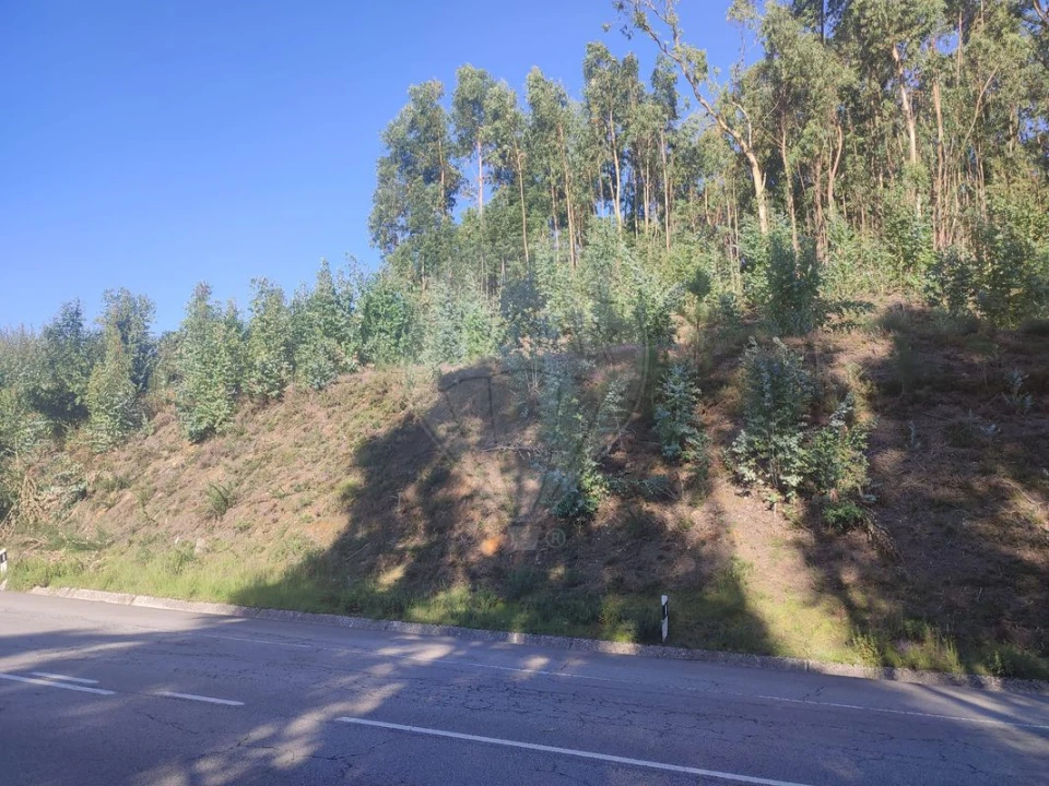 Terreno para Venda em Sandim, Olival, Lever e Crestuma Foto 1