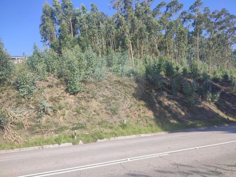 Terreno para Venda em Sandim, Olival, Lever e Crestuma Foto 3