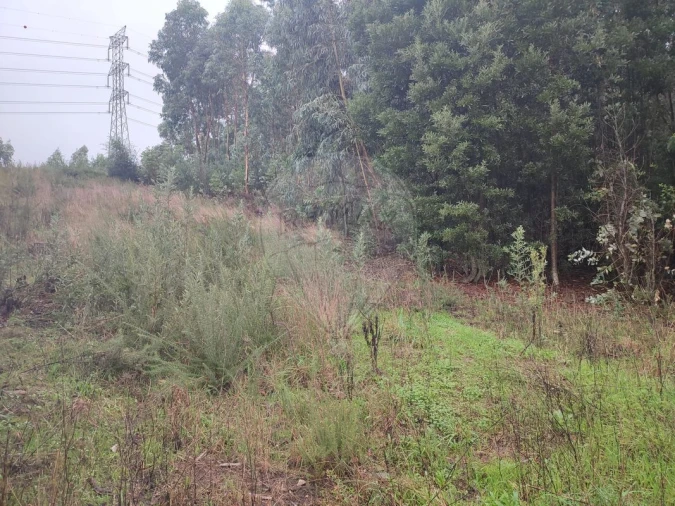Terreno para Venda em Sandim, Olival, Lever e Crestuma Foto 8