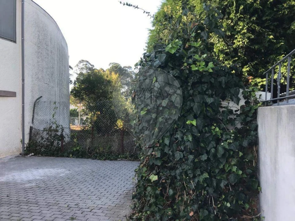Terreno para Venda em Paços de Brandão Foto 9