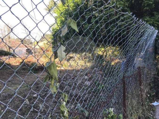 Terreno para Venda em Paços de Brandão Foto 10