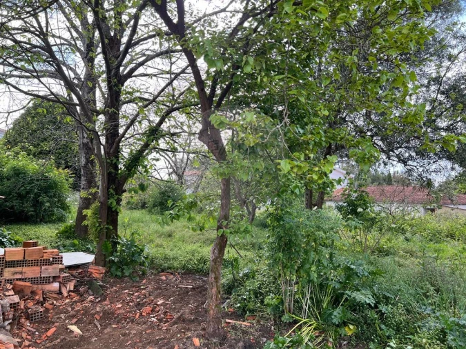 Terreno para Venda em Paços de Brandão Foto 16