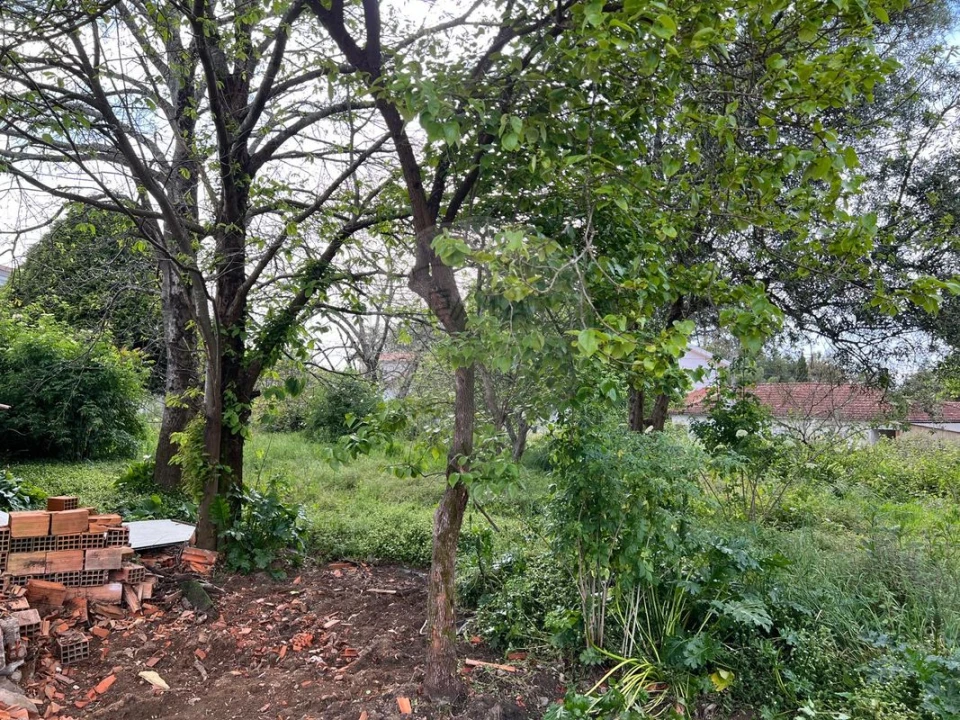 Terreno para Venda em Paços de Brandão Foto 16