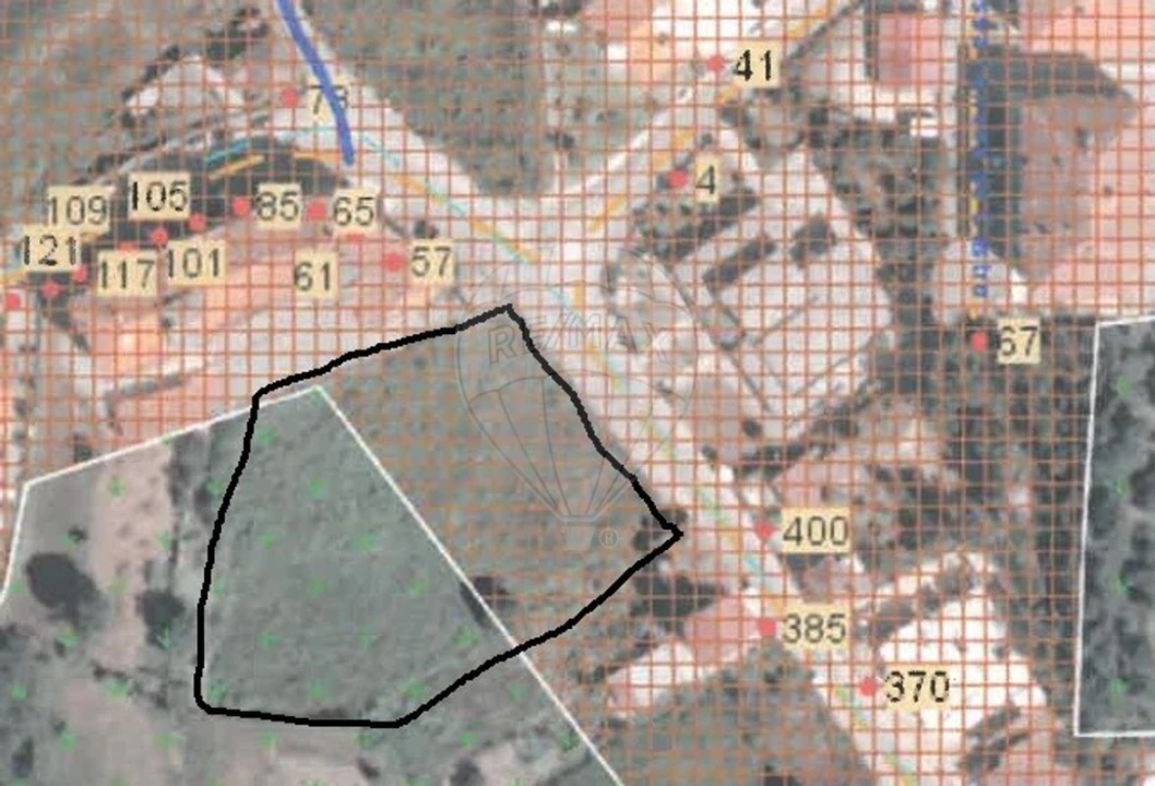 Terreno para Venda em Nogueira do Cravo e Pindelo Foto 5