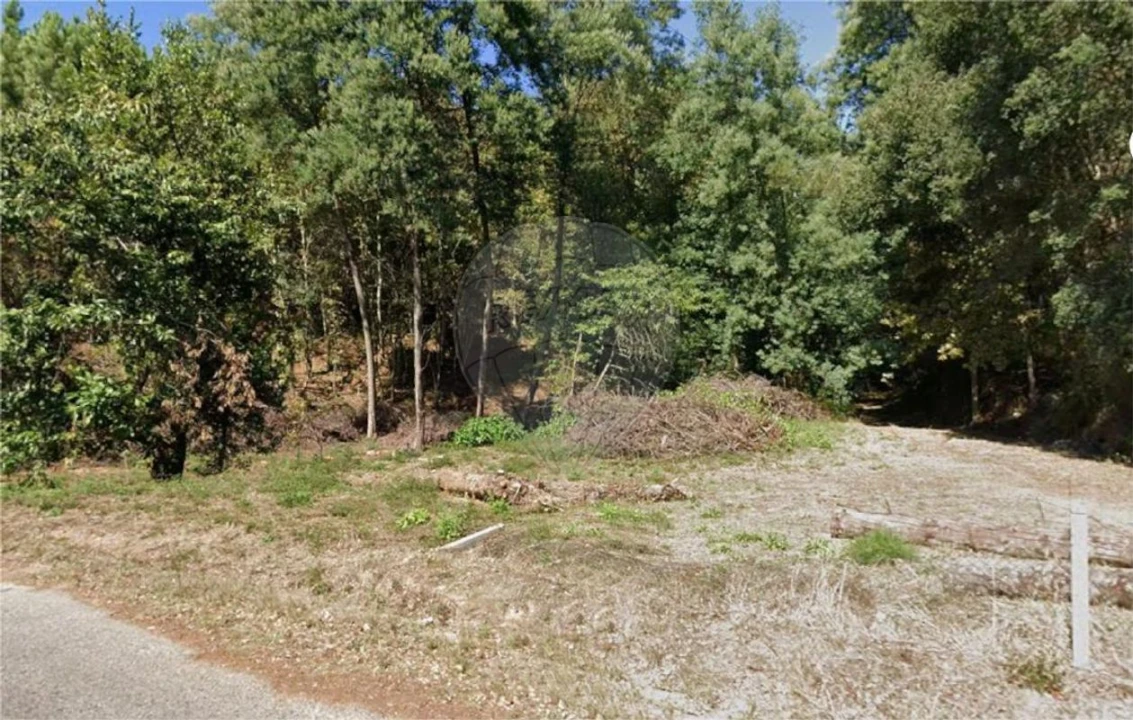 Terreno para Venda em Santa Cruz da Trapa e São Cristóvão de Lafões Foto 4