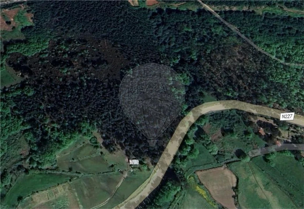 Terreno para Venda em Santa Cruz da Trapa e São Cristóvão de Lafões Foto 2