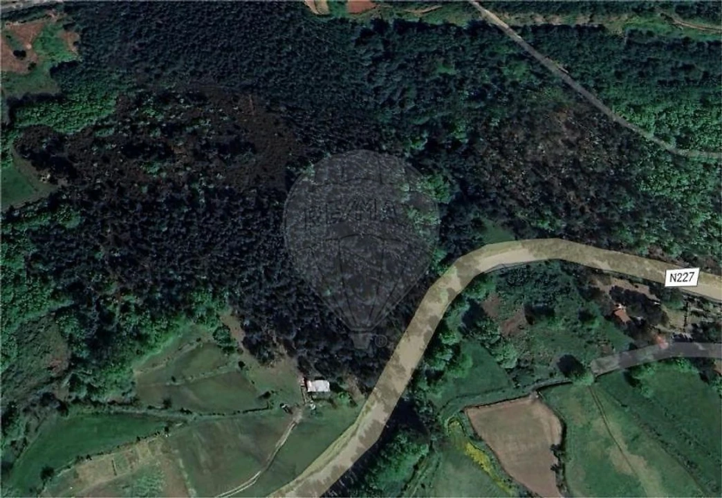 Terreno para Venda em Santa Cruz da Trapa e São Cristóvão de Lafões Foto 2