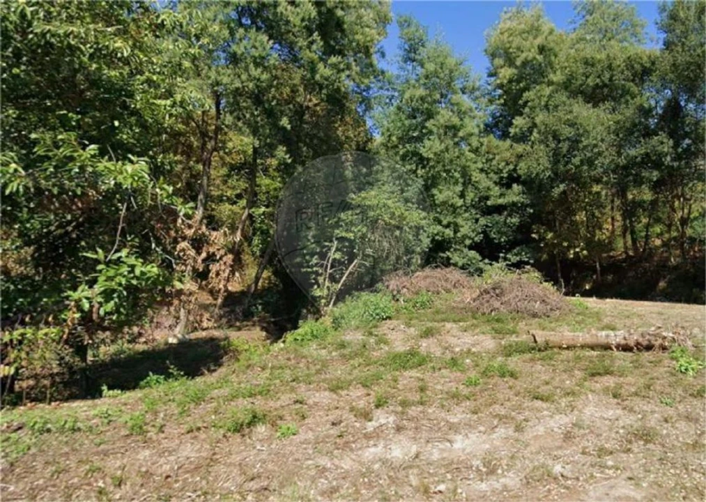 Terreno para Venda em Santa Cruz da Trapa e São Cristóvão de Lafões Foto 3