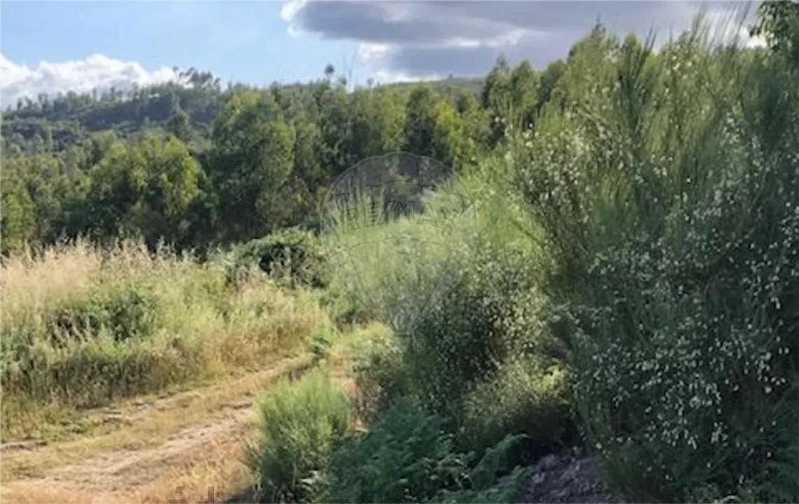 Terreno para Venda em Santa Cruz da Trapa e São Cristóvão de Lafões Foto 5