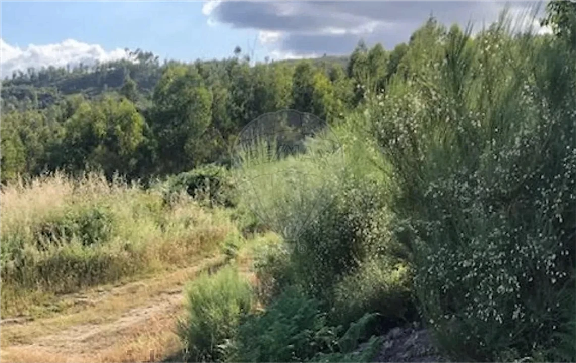 Terreno para Venda em Santa Cruz da Trapa e São Cristóvão de Lafões Foto 5