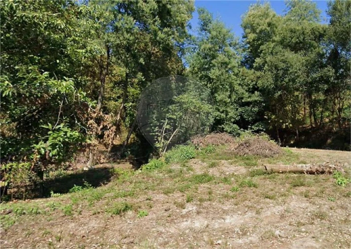 Terreno para Venda em Santa Cruz da Trapa e São Cristóvão de Lafões Foto 3