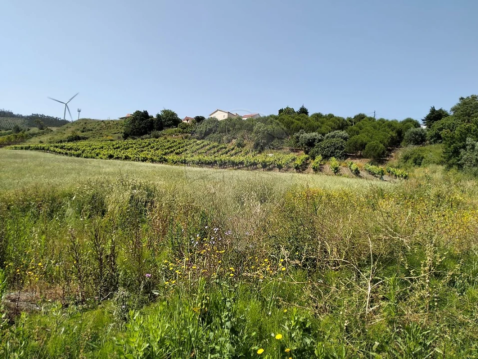 Terreno para Venda em Vila Verde dos Francos Foto 4