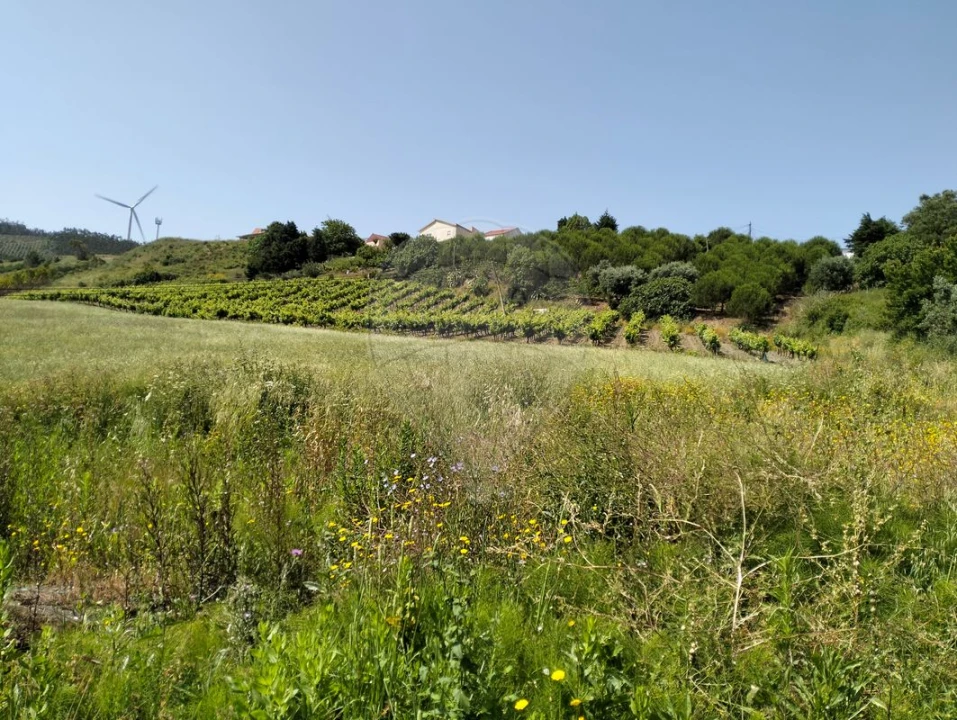 Terreno para Venda em Vila Verde dos Francos Foto 2