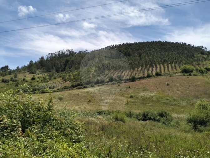 Terreno para Venda em Vila Verde dos Francos Foto 3
