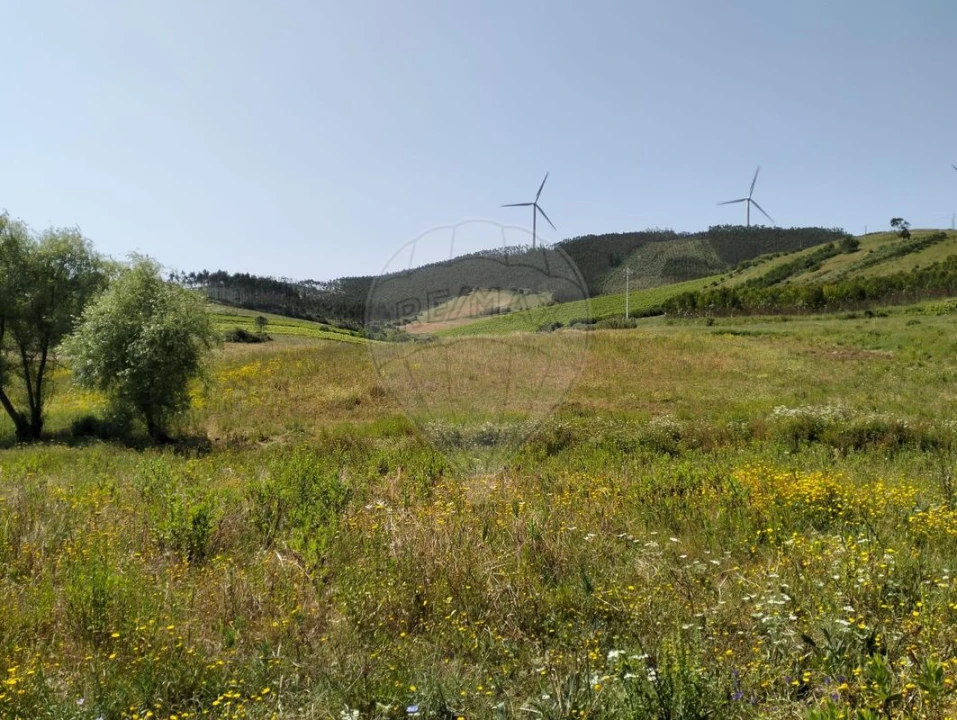 Terreno para Venda em Vila Verde dos Francos Foto 2