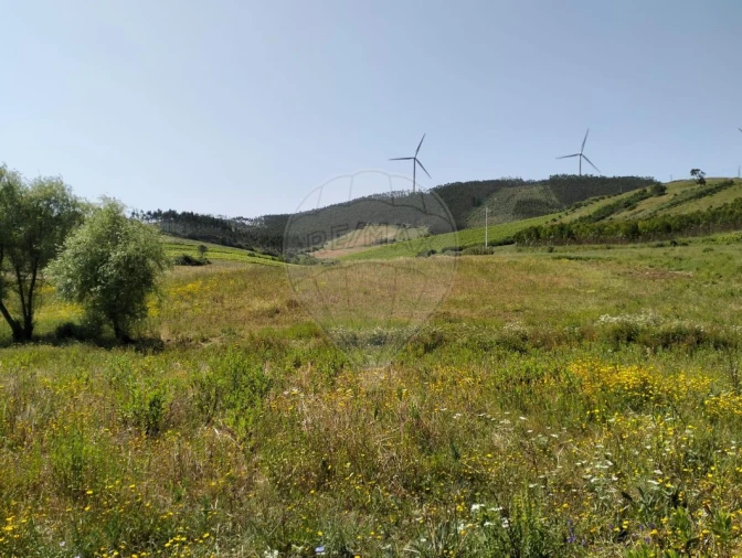 Terreno para Venda em Vila Verde dos Francos Foto 2