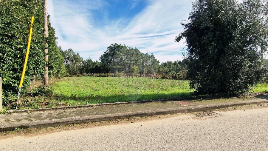 Terreno para Venda em Figueira de Lorvão Foto 4