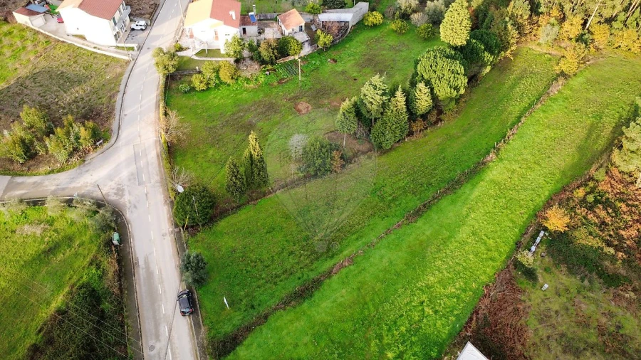 Terreno para Venda em Figueira de Lorvão Foto 2