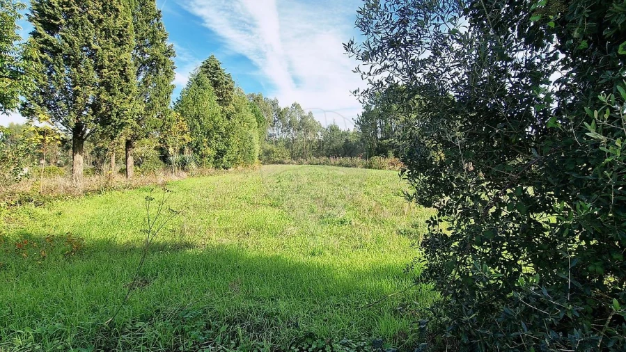 Terreno para Venda em Figueira de Lorvão