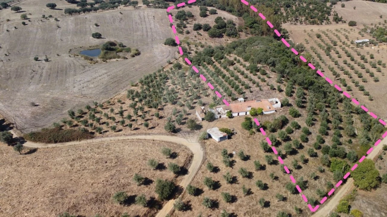 Quinta T4 para Venda em Santiago do Escoural Foto 2