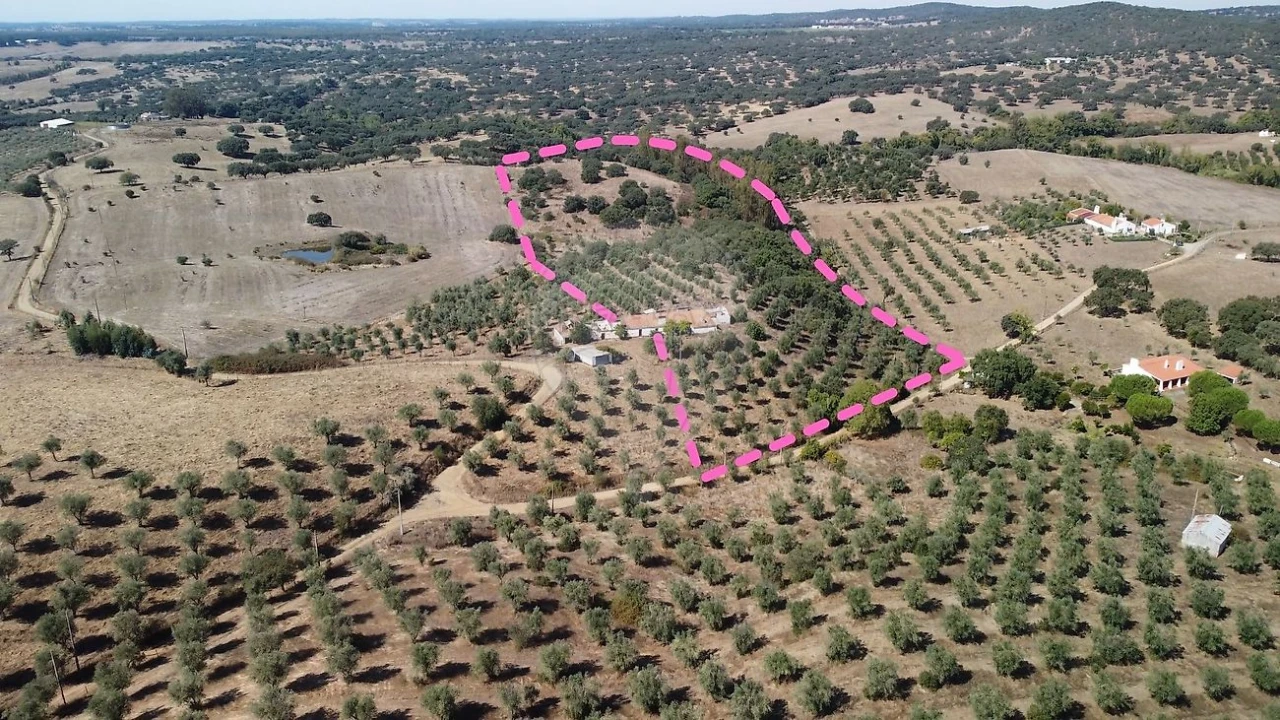 Quinta T4 para Venda em Santiago do Escoural Foto 3