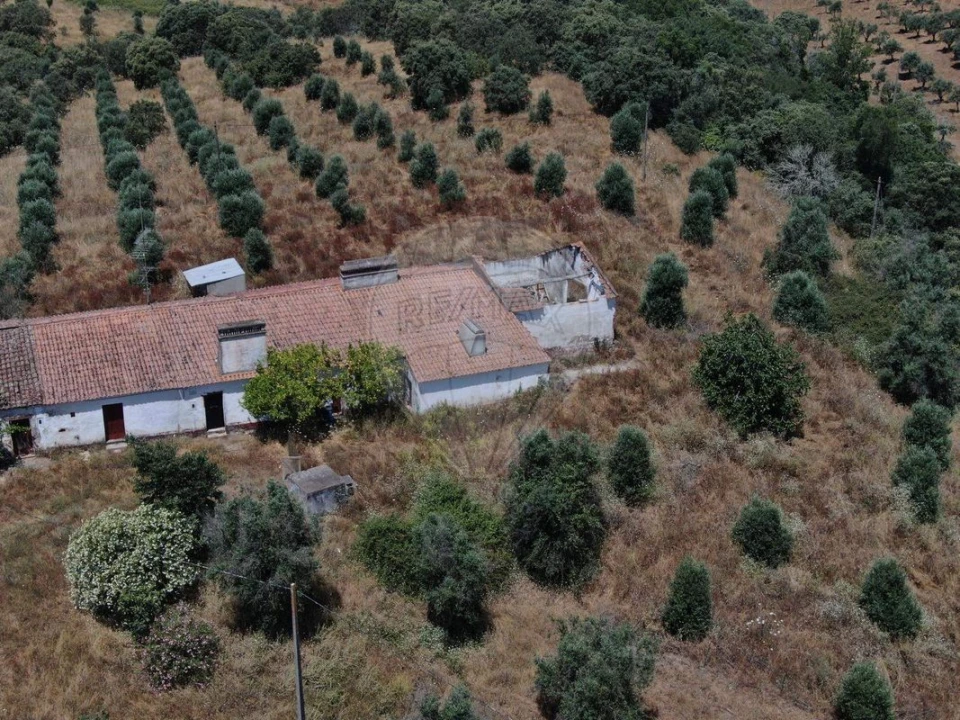 Quinta T4 para Venda em Santiago do Escoural Foto 1