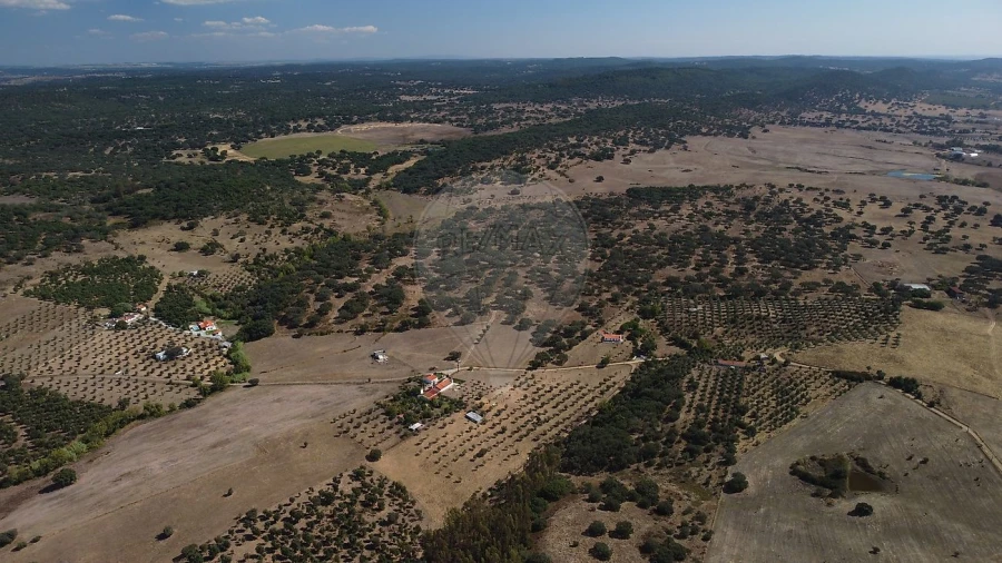 Quinta T4 para Venda em Santiago do Escoural Foto 5