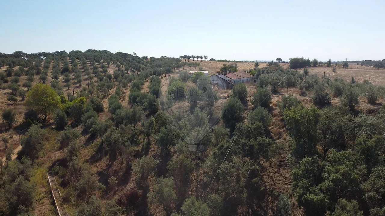 Quinta T4 para Venda em Santiago do Escoural Foto 6