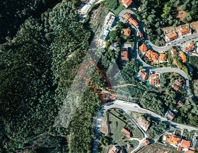 Terreno para Venda em Santo Antonio dos Olivais Foto 3