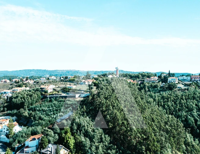 Terreno para Venda em Santo Antonio dos Olivais Foto 21