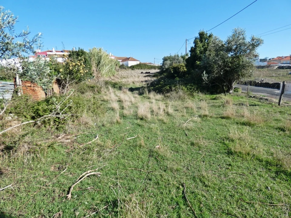 Terreno para Venda em Milharado Foto 7
