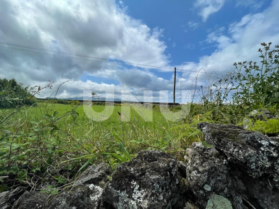 Terreno Agricola ou Rústico para Venda em Calhetas Foto 10