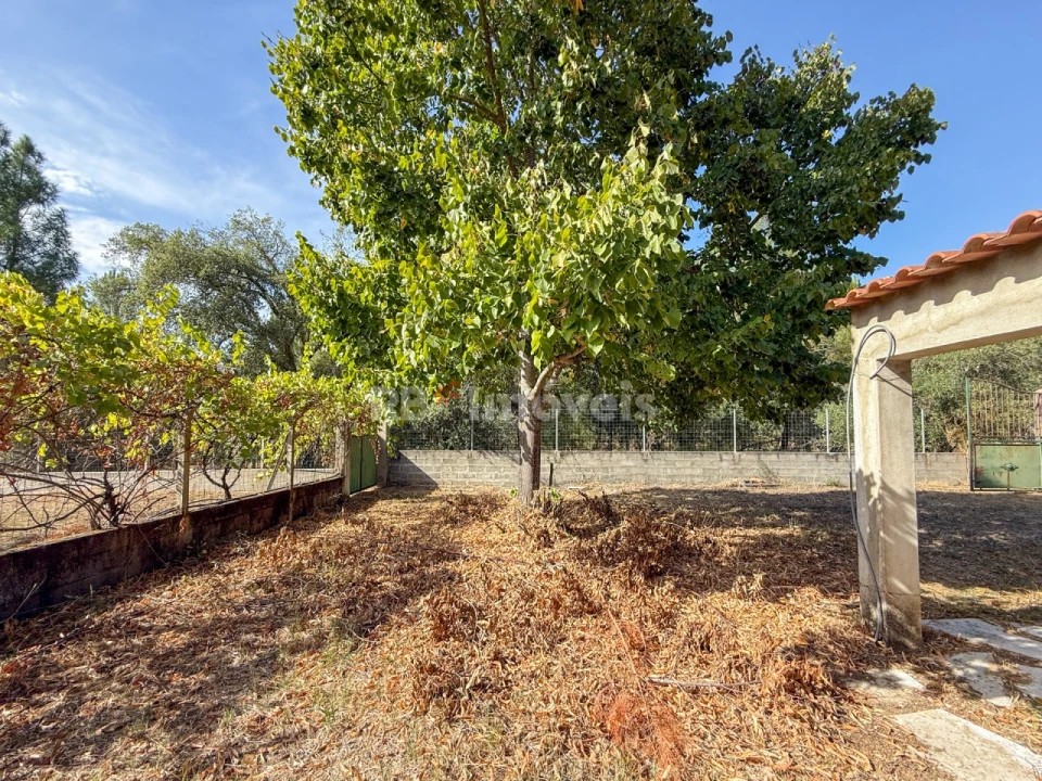 Quinta T1 para Venda em São Miguel do Rio Torto e Rossio Ao Sul do Tejo Foto 17