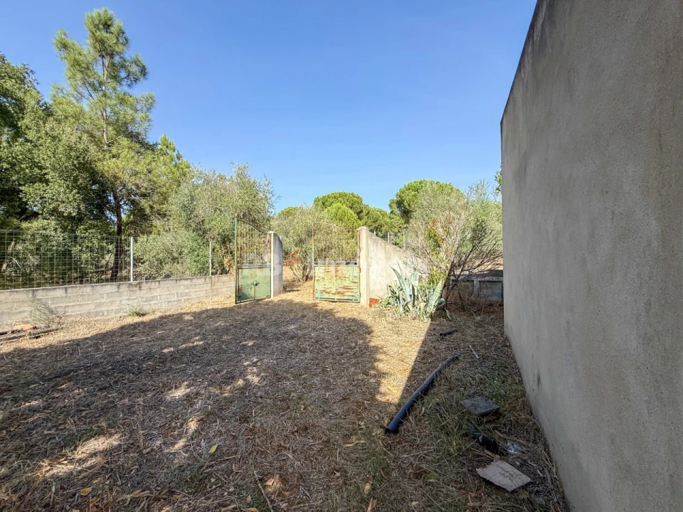Quinta T1 para Venda em São Miguel do Rio Torto e Rossio Ao Sul do Tejo Foto 4
