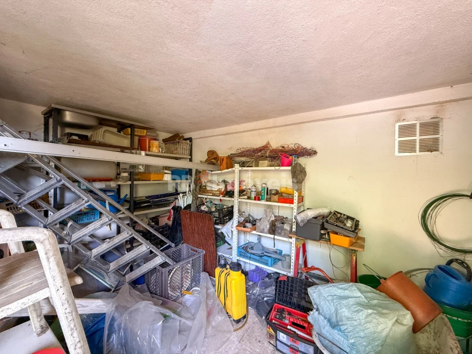 Quinta T1 para Venda em São Miguel do Rio Torto e Rossio Ao Sul do Tejo Foto 14