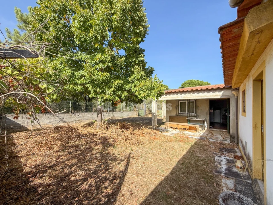 Quinta T1 para Venda em São Miguel do Rio Torto e Rossio Ao Sul do Tejo Foto 3