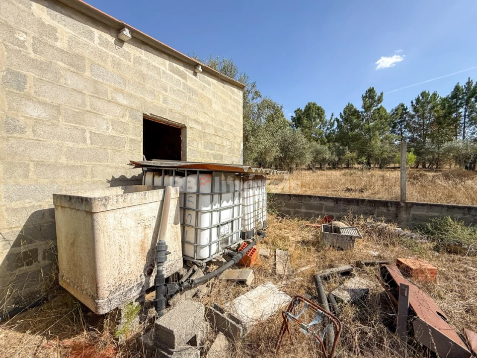 Quinta T1 para Venda em São Miguel do Rio Torto e Rossio Ao Sul do Tejo Foto 15