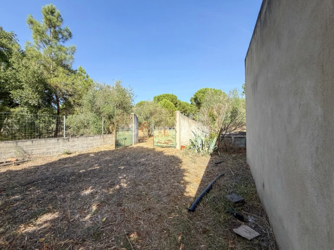Quinta para Venda em São Miguel do Rio Torto e Rossio Ao Sul do Tejo Foto 4