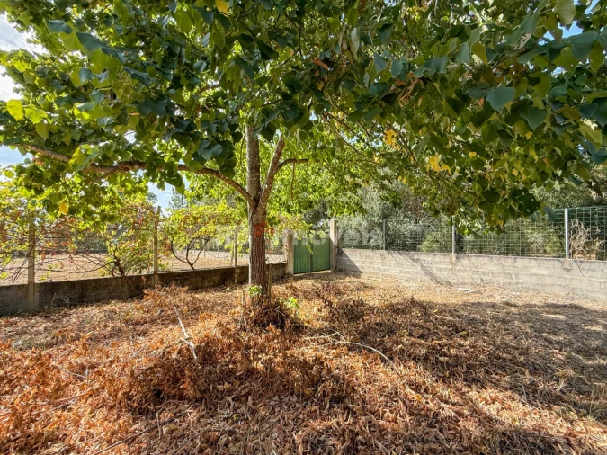 Quinta para Venda em São Miguel do Rio Torto e Rossio Ao Sul do Tejo Foto 16