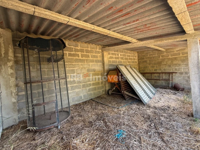 Quinta para Venda em São Miguel do Rio Torto e Rossio Ao Sul do Tejo Foto 13