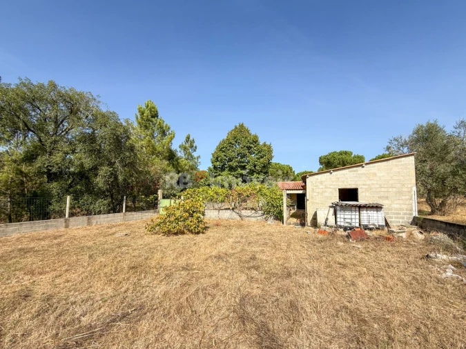 Quinta para Venda em São Miguel do Rio Torto e Rossio Ao Sul do Tejo Foto 19